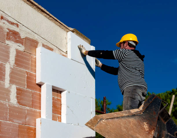 Best Insulation Maintenance and Repair in South Fulton, TN