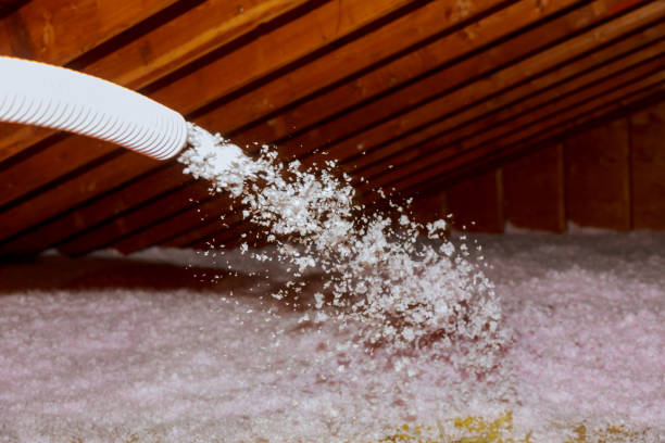 Best Energy Efficiency Insulation in South Fulton, TN