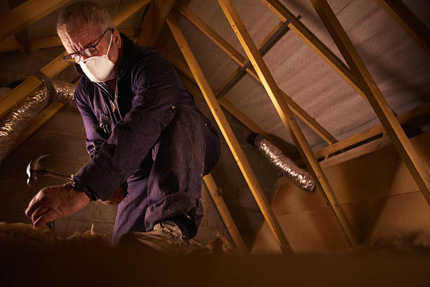 Best Commercial Insulation in South Fulton, TN