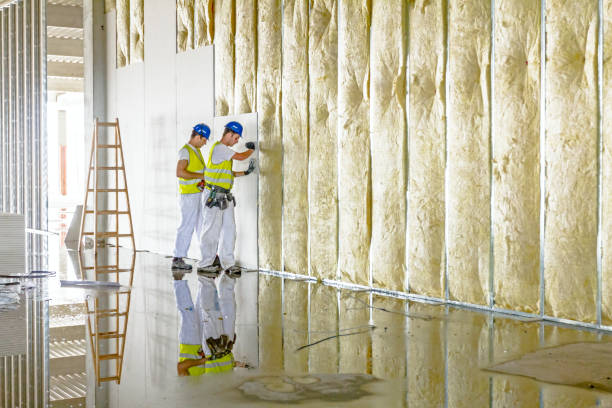Best Specialized Insulation Services in South Fulton, TN